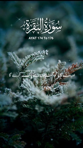 Warning for Hiding the Truth | Surah Baqarah 174-176