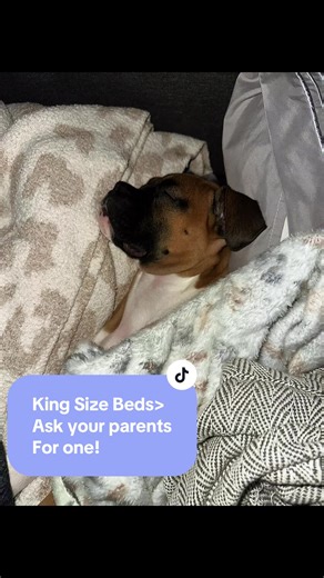 Didn’t want to move today! Mama made me get up 🎀🧸