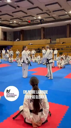 General Choi described taekwon-do as a “noble moral weapon,” combining graceful and powerful physical techniques with the principles of self-control, respect, and humanism. The martial art’s emphasis on self-defense is balanced by moral education to ensure that practitioners use it honorably and solely for self-protection, never for aggression or domination by force. Its patterns and movements are designed to enable precise defense against any type of attack. In essence, taekwon-do is a way of l