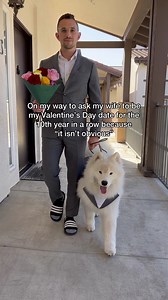 2.5M views · 31K reactions | Who me?! Am I the drama???? #dog #samoyed #funny #valentinesday | Life With A Landcloud | Facebook