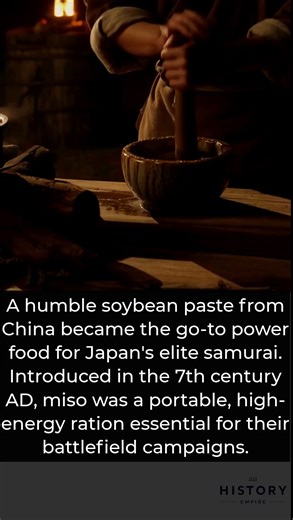 A humble soybean paste from China over 1300 years ago grew into the indispensable power food for Japans elite samurai warriors. Introduced by Buddhist priests in the seventh century AD, miso was far more than a simple meal. It became a nutritious field ration that was easy to carry and prepare during long campaigns. In the Kamakura period it provided the protein and salt essential for energy and stamina. Today miso remains a cornerstone of Japanese cuisine enjoyed all over the world. | The Histo