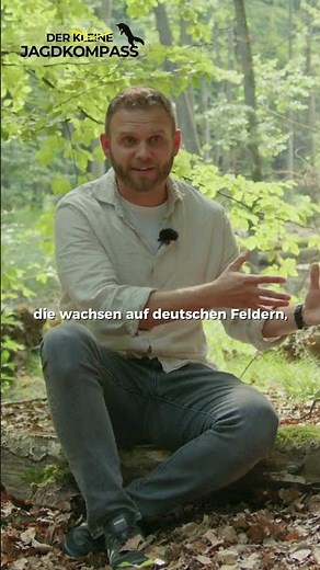 Christopher Stoll on hunting and the environment