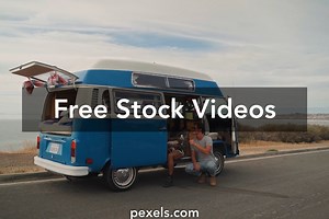 Dog Car Videos, Download The BEST Free 4k Stock Video Footage & Dog Car HD Video Clips