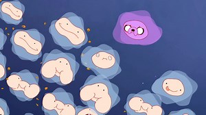 Adventure Time: Food Chain (Circle of Life)