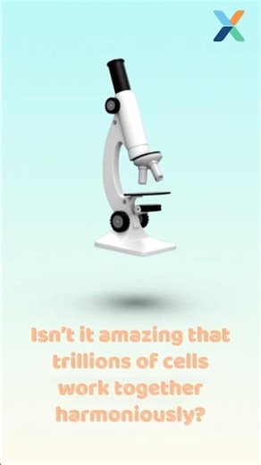 How Your Cells Talk Without Words?