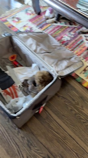Tomorrow ze journey begins! I leave for France to finish filming ze second half of Meet Ze REAL Medic. Ze set builders have been working very hard — but you backers will see ze real sing first, of course. Ze rest of you… stay tuned, mercenaries. Übercharge incoming! 🇫🇷💉 #MTRM #MTRMTF2 see you soon Shork und Heavy @ShorKtf2 @GarySchwartz14