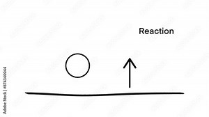 Newton Third Law of Motion Infographic Diagram showing action reaction force direction example, Action reaction force pair infographic diagram, Newton’s Law of Motion for physics science education