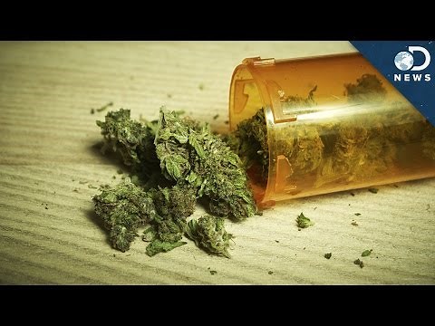 Is Marijuana Addictive?