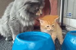 12K views · 703 reactions | Mom teaching her daughter how to drink. | Flipopular | Facebook