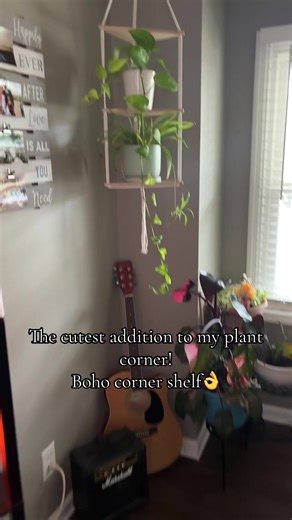 Boho style plant shelf #plantsoftiktok #bohostyle