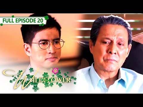 Full Episode 20 | Wildflower with ENG SUB | Maja Salvador, Joseph Marco, RK Bagatsing