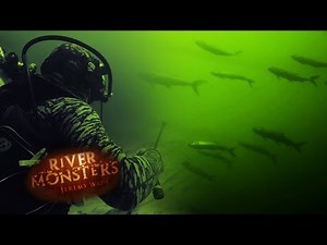 Swimming With a Swarm of Tiger Fish | TIGER FISH | River Monsters