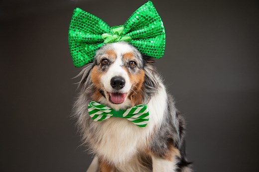 These Silly St. Patrick's Day Puns Will Get Tons O'Laughs (and Maybe a Few Groans)