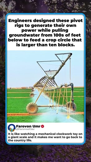 SECRETS OF LARGE SCALE FARMING