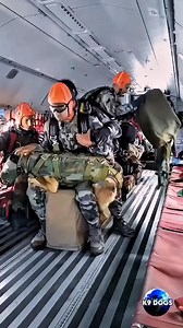 1.5K views · 47 reactions | Wow! Amazing K9 Military Dog in action, wondering what's his rank‍了 #malitry #k9 #k9dogs #usa #usarmy #armylover #reaction #homesweethome #doglover #dog #dogsofinstagram #doglife #dogoftheday #usareels #army #StrongerTogether #armystrong #lowered #stronger #armywife #USAToday #page #pageantry #pageant #armymom | German shepherds | Facebook