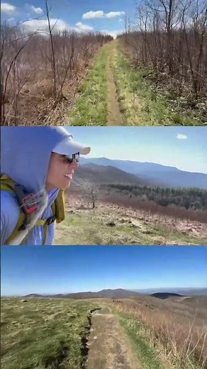 Appalachian Trail North Carolina Tennessee Border Mile 175-393 Beginner Thru-Hike Guide + Tips