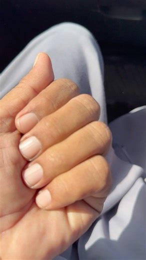 The video shows a carnation flower which is scientifically known as Dianthus caryophyllus. The image