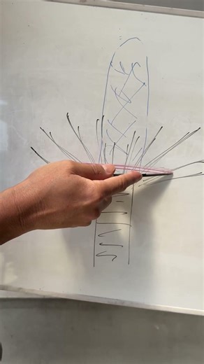 [Pruning Buds] Where to Cut? Illustrated Explanation for Beginners