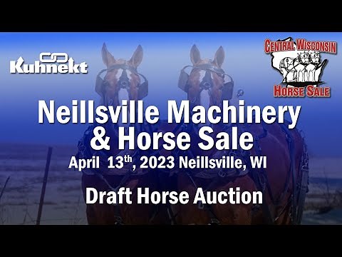 2023 Neillsville Machinery & Horse Sale - Draft Horse Sale