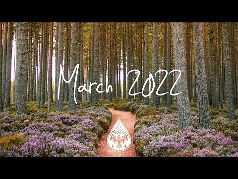 Indie/Pop/Folk Compilation - March 2022 (2-Hour Playlist)