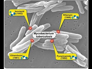 Tuberculosis Medications