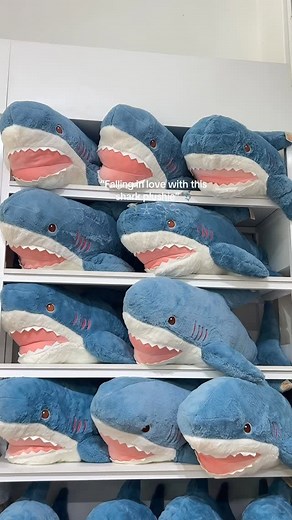 The Collab . on Instagram: "Shark plushies 🦈🫶🏻"
