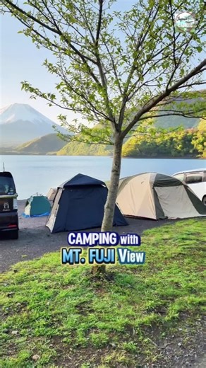 Mt. Fuji Camping Experience at Koan Camping Ground