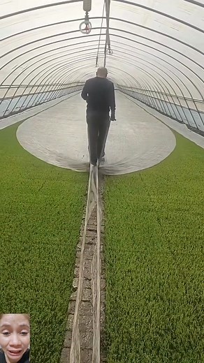 46K views · 74 reactions | Tamang pag tanggal ng plastic cover #followerseveryone #reactionreels #reaction #plasticcover #Remove | Marchijoy Lopez Camacho | Facebook