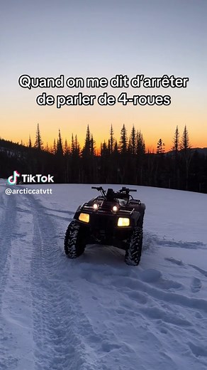 The Arctic Cat on TikTok