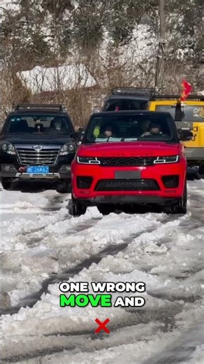 Ford Climbs a TREE 😳 | Range Rover vs Snow Road ❄️🚙