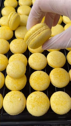 French Macaron • lemon gold texture ✨