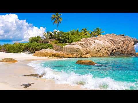 🏝 The Most Relaxing Ocean Video Ever 4K UHD. Seychelles