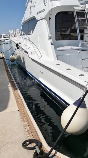 I know the owner of this boat 🛥 #boatlife #yachty #yacht #yachtlife #boating #boatinglife #fishingboat #fishingknot #fishingknots #fishingvideos #fishingaddict #fishingdaily #fishingboats #boatcleat #cleatknotchampion #cleatknot #masterfisherman #yachtcaptain #fishingcaptain | Your Saltwater Guide