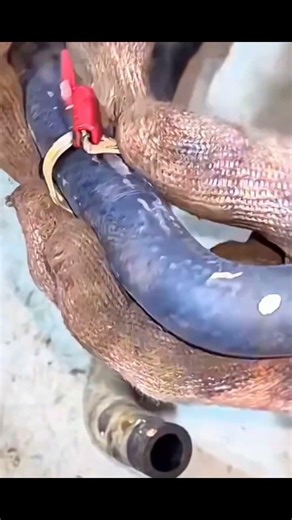 "Engine Coolant Valve Installation Process" #repair #mechanic #fyp