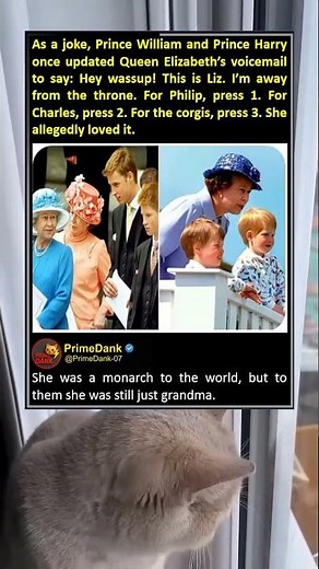 The Queen had an elite humor 👑 | funny memes | relatable American memes | primedank