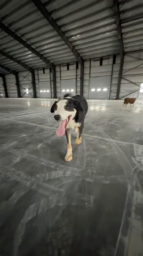 Concrete floor looks so good