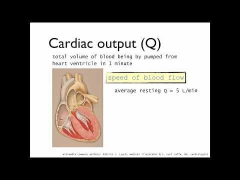 Definition of cardiac output (Q), stroke volume (SV) and heart rate (HR)- CV variables part 1