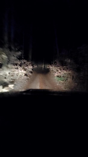 Jeremy J Stevens on Reels