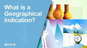 It's #GeoIndicationsWeek at WIPO! Let's start with some basics: 🔸What exactly is a geographical indication (GI)? 🔸Are GIs only for agricultural products? 🔸Can tea produced outside India, which tastes and looks just like Darjeeling tea, use the "Darjeeling tea" GI? 🔸What’s the role of WIPO’s Lisbon System in all this? Our explainer video has the answers ⤵️ | World Intellectual Property Organization
