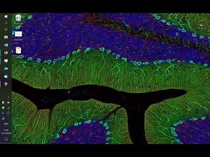 Lecture 9.1: Gaussian Process Regression | ML19