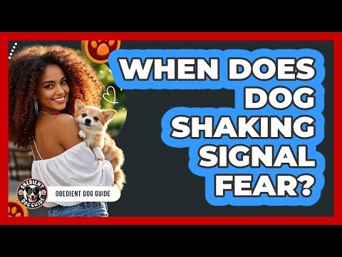 When Does Dog Shaking Signal Fear?