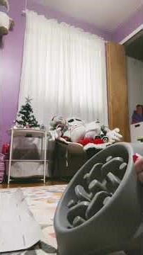 Wrap the dogs Christmas presents w/ me!!!🐾🐕