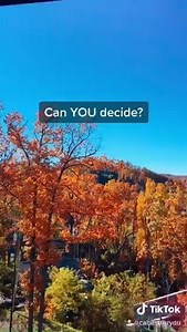 5.1K views · 52 reactions | It's so beautiful, we don't know where to look! | Pigeon Forge TN Cabins | Facebook