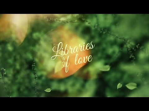 AURI - Libraries of Love (Official Lyric Video)