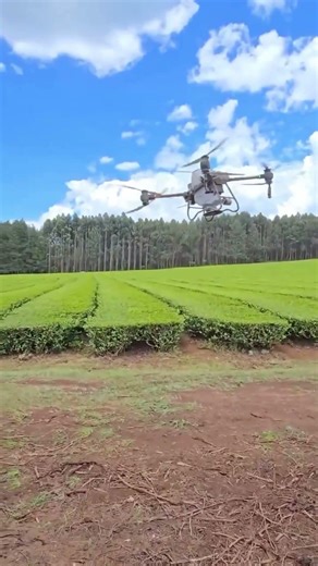 Agricultural Drone DJI #sorts #shortsvideo #shortsviral #quadcopter #shortsfeed #drone #dji