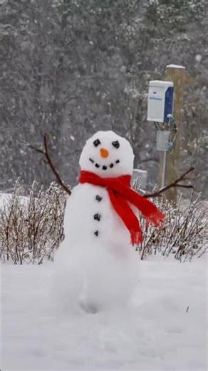 Snowman Fight Gets Heated #comedy #snow #shorts