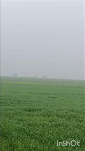 meri desh ki darti ka song on Indian culture and explain different types of crops grow on India soil