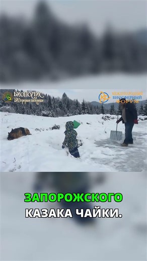 Чайковский - украинец? Неизвестный факт