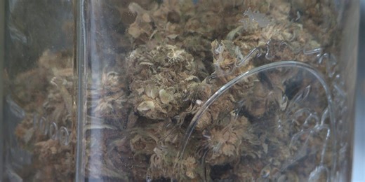 Health officials urge safe cannabis storage as child exposures rise