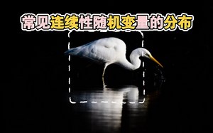 概率论与数理统计 第二章 随机变量及其分布 第二节 随机变量的分布 （下） 常见随机变量的分布